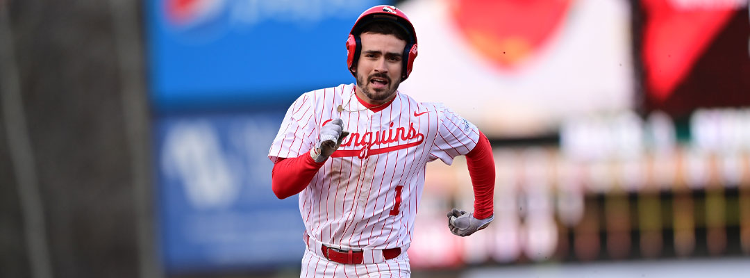 Youngstown Baseball Slide 2